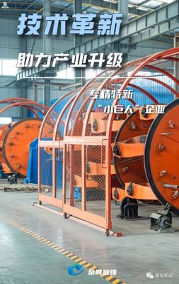掌握核心技術(shù)，蔡甸電纜生產(chǎn)“小巨人”淡季不淡的啟示